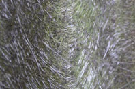 Upper Hamnish fibreglass roof work